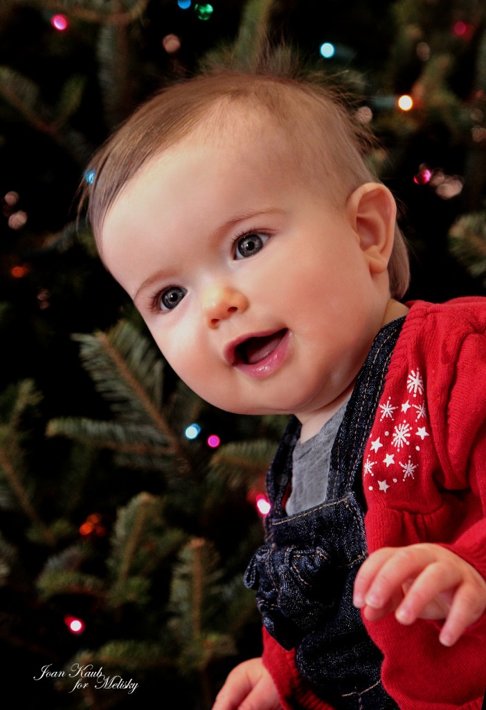 A sweet, wide-eyed little one is anticipating the Christmas joy to come!